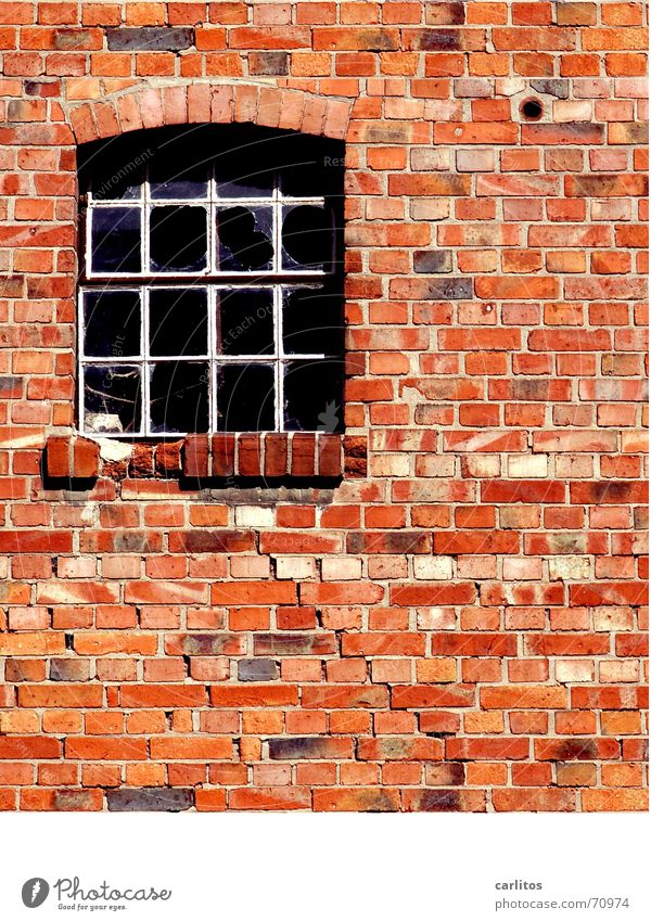 stone kingdom Wall (barrier) Red Brick Seam Window Craft (trade) Decline Stone brick wall arch cast window metal windows Glass glass break stall windows