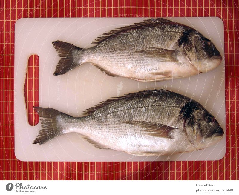 Except! Delicious Dorade Fresh Kitchen Cooking Nutrition Barn Wooden board except descaled Fish