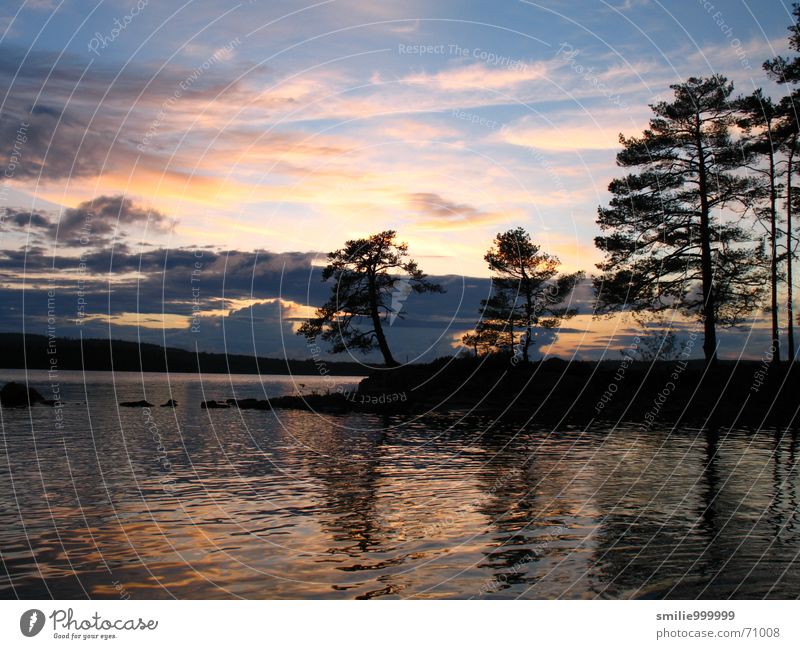 Sunset in Sweden Lake Tree Clouds Romance Water paddle tour