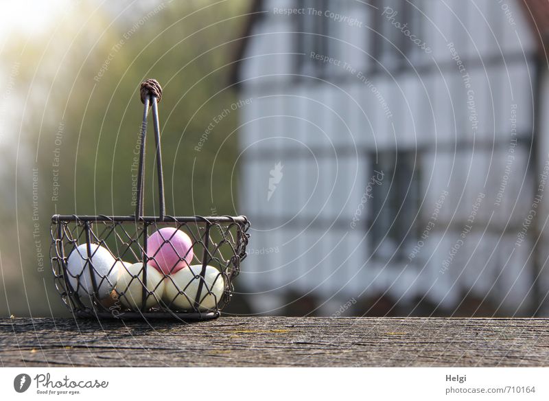 egg-seeking Food Nutrition Easter egg Egg Environment Landscape Spring Beautiful weather Village House (Residential Structure) Bridge Building