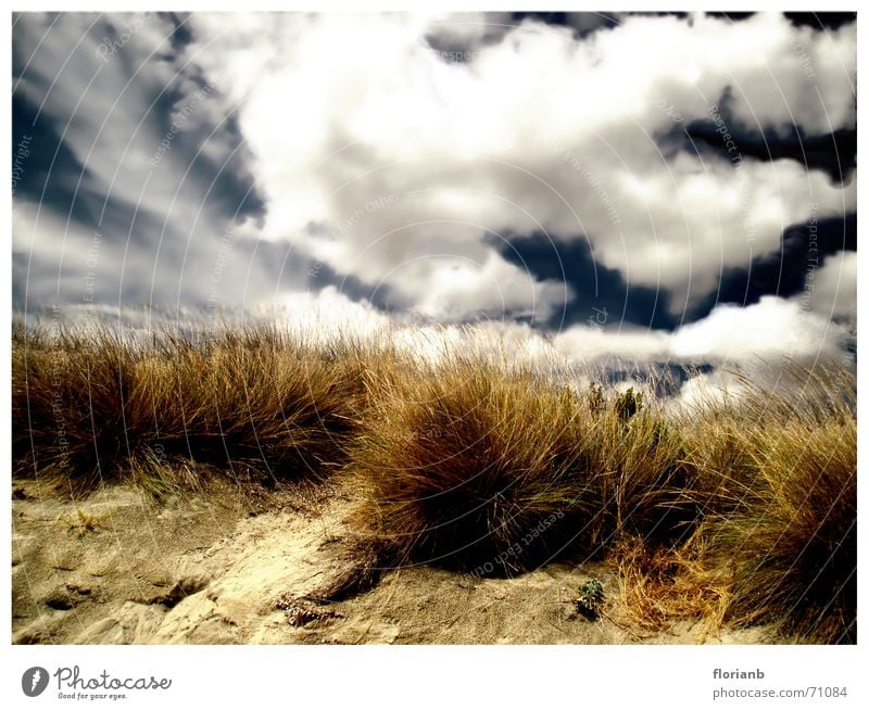 Greece's vastness Coast Clouds Grass Tuft of grass Yellow Brown Europe Vacation & Travel Processed Exterior shot Sky Blue Sand Landscape