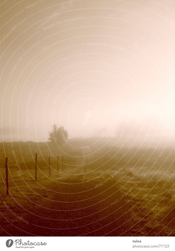 Morning Fog II Morning fog Moody Grief Lake Ambiguous Dawn Sadness Water lake landscape Lanes & trails Target