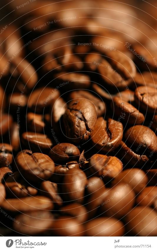 Do you smell the scent? Coffee bean Caffeine Café Brown Sense of taste Brunch Hot drink Beans Aromatic Fragrance Tea toast