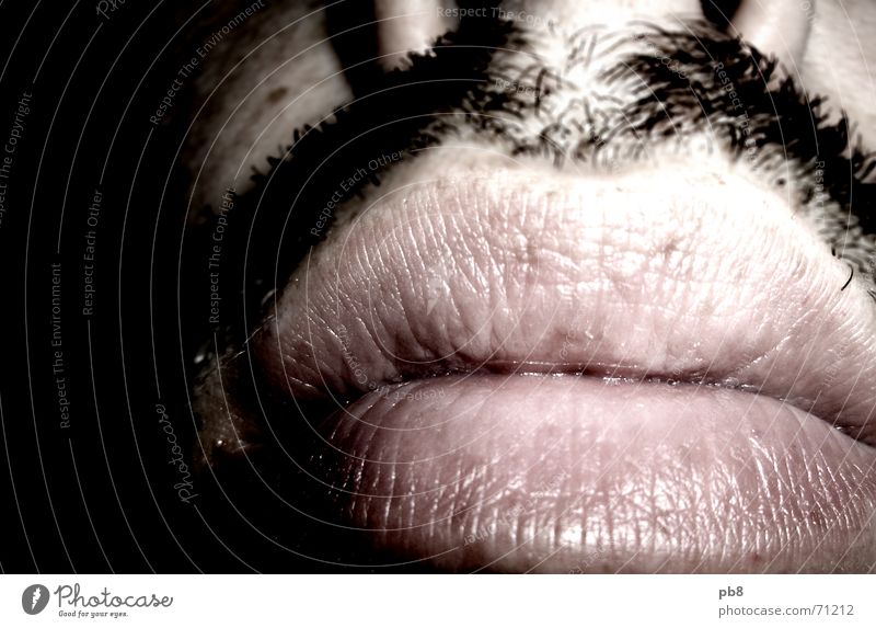 mugshot detail Lips Facial hair Mouth Nose Skin Hair and hairstyles Contrast