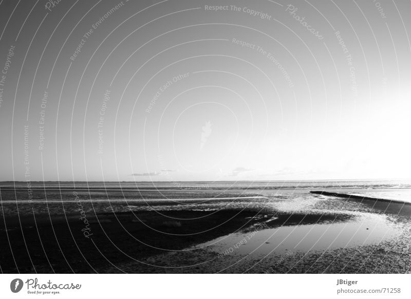 sand track Beach Low tide Sunset Calm Clouds Light Exterior shot Black & white photo North Sea Sand Far-off places