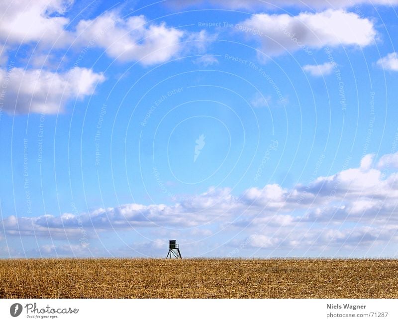 1 room apartment Hunting Blind Clouds Field Wood Yellow Canola field Stopper Blue Americas Vantage point