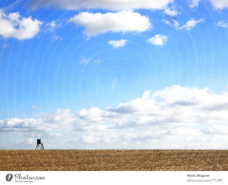 1 Room apartment 2 Hunting Blind Clouds Field Wood Yellow Canola field Stopper Blue Americas Vantage point