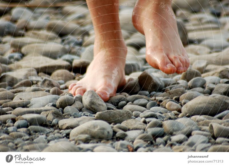 Step on stone Round Lake Barefoot Wet Exterior shot Going Toes Man Stone Minerals Feet Lake Constance Stride Movement Point