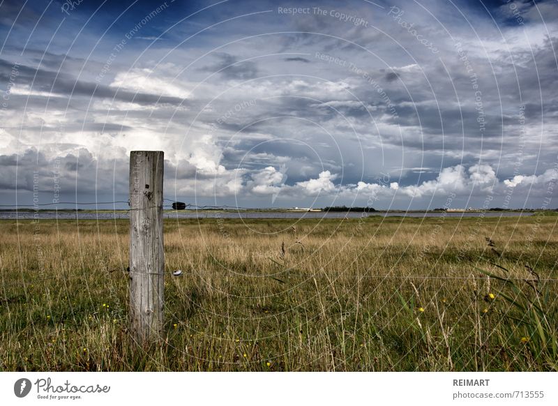 Denmark Nature Landscape Sky Meadow Field Fjord Emotions Moody Honest Freedom Colour photo Exterior shot Deserted Day Light Wide angle