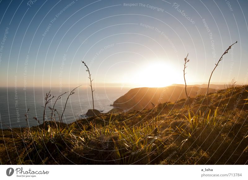 let the sunshine in Environment Nature Landscape Plant Elements Water Cloudless sky Sunrise Sunset Sunlight Summer Grass Rock Coast Ocean Wanderlust Horizon