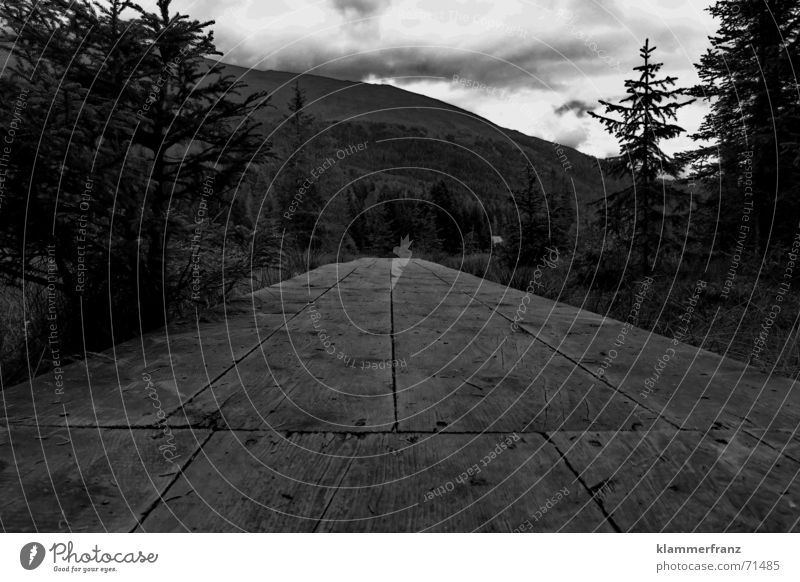 Boards that mean the world Footbridge Wood Forest Worm's-eye view Black Dark Exterior shot Lanes & trails Floor covering Wooden board Landscape Perspective