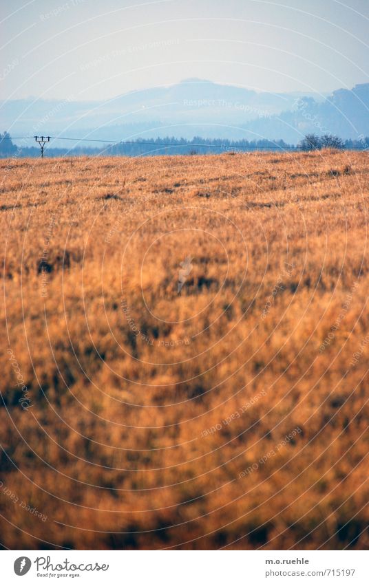 bohemia I like it Environment Nature Landscape Sky Cloudless sky Spring Beautiful weather Warmth Plant Grass Field Hill Mountain Moody Far-off places