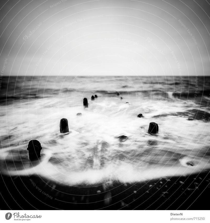 DARK Beach Ocean Waves Landscape Sand Water Horizon Spring Wind Gale Coast Baltic Sea Stone Gray Black White White crest Sky Break water Long exposure