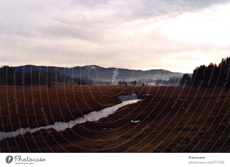 bavarian idyll III Fog Bavaria Oberammergau Forest Hill Meadow Landscape Valley Mountain River Nature berbay