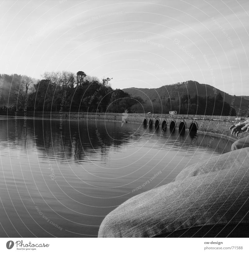 quay wall Lake Knee breeches Water level Underwater photo Seaman Knee cap Loneliness Patient Jetty Black Tree Pants Reflection Calm Serene Hand Fingers Man