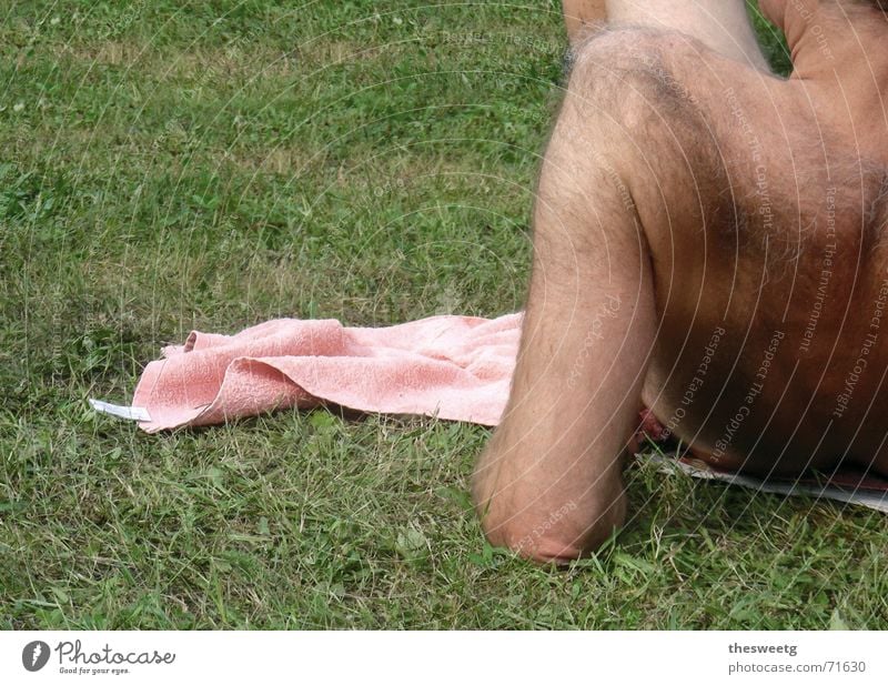 Hair har hair!!! Lawn for sunbathing Bathing meadow Bath towel Pink Shoulder Masculine Unshaven Pelt Wool Naked Easygoing Wolf Werewolf body hair Sun Back