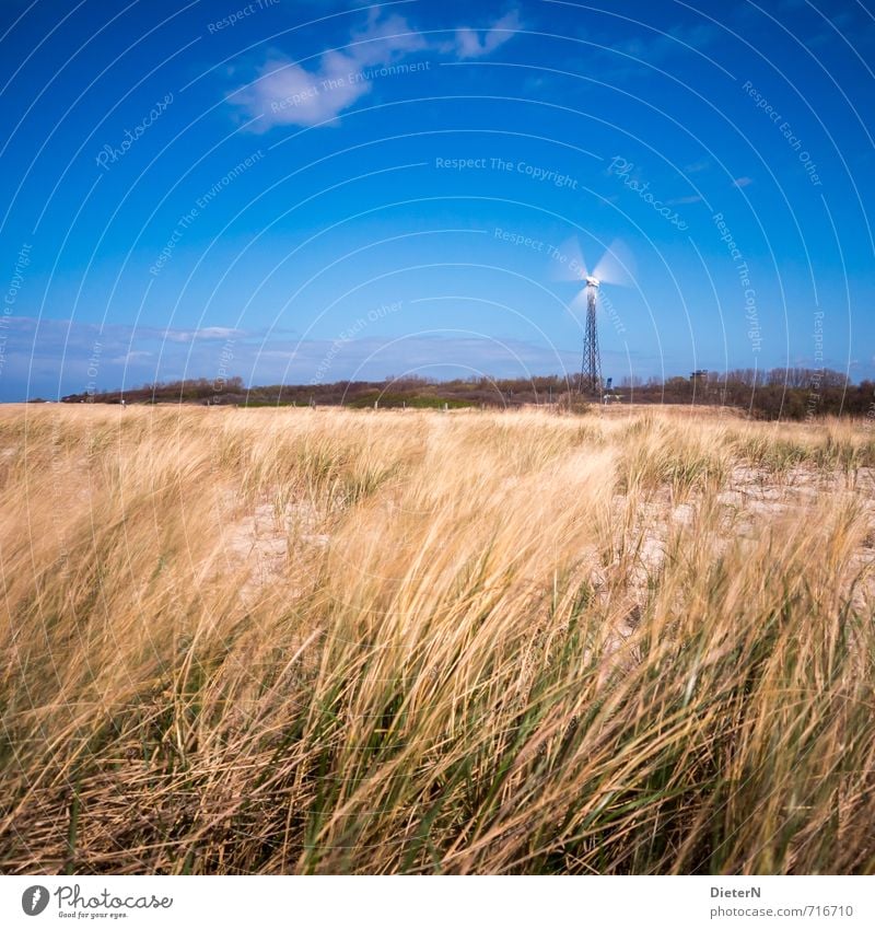 Energy Beach Sand Baltic Sea Blue Yellow Mecklenburg-Western Pomerania Wustrow Pinwheel Forest Grass Beach dune Clouds Sky Colour photo Exterior shot Deserted