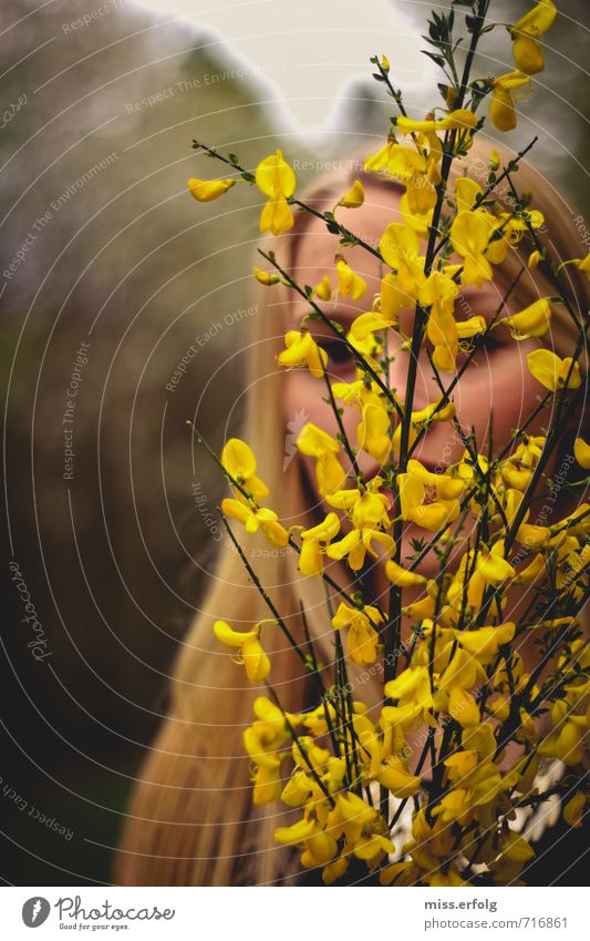 Hide-and-seek. Young woman Youth (Young adults) Woman Adults Body Head 1 Human being 13 - 18 years Child 18 - 30 years Environment Plant Bushes Blossoming