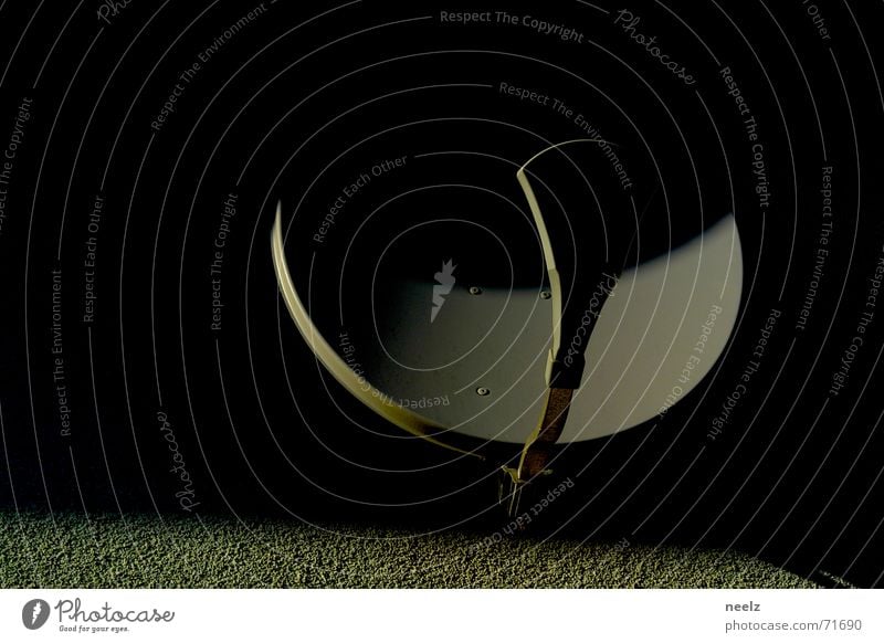 Connected Satellite dish Round Antenna Bowl Welcome Television Shadow Contact connected