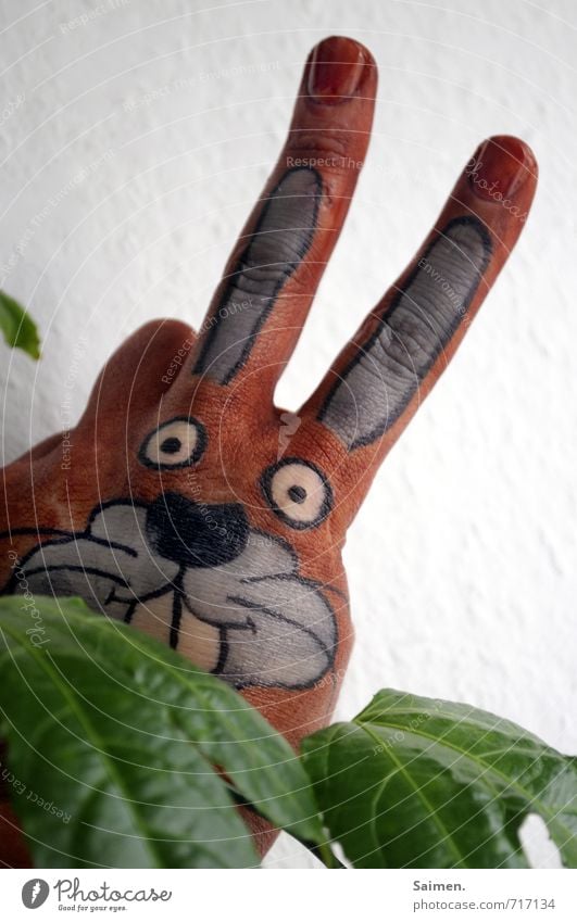 Look Look Plant Foliage plant Animal 1 Looking Funny Hare & Rabbit & Bunny Beautiful Painted Comic Comic strip character rabbit head Hare ears Creativity Cute