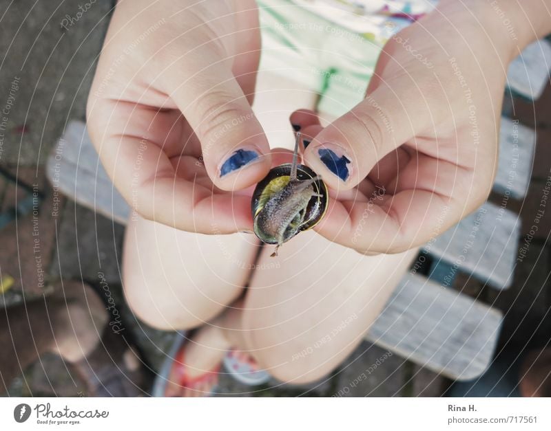 Look at this snail! Child Girl 1 Human being 3 - 8 years Infancy Summer Flip-flops Snail Sit Authentic Joy Joie de vivre (Vitality) Life Hand Nail polish Legs