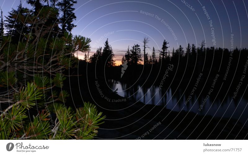 Desolation Valley 2 Fir tree Spruce Lake Sunset Forest Back-light Reflection Mirror Smoothness Hiking Calm Dream Vacation & Travel Mountain Clarity