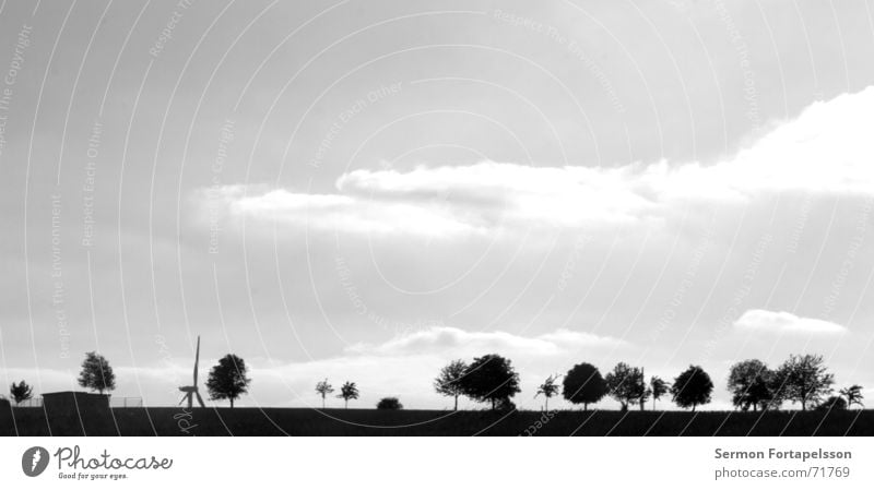 province, skyline II Tree Clouds Field Summer Afternoon Saturday Loneliness Agriculture Meadow Forest Flat Electricity Energy industry