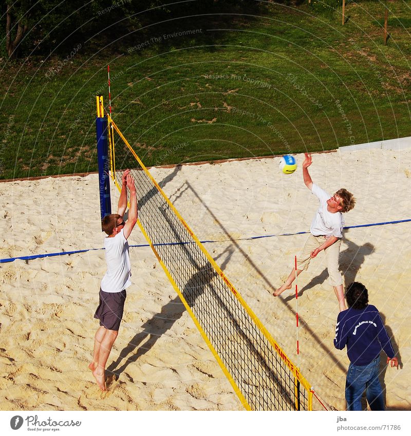 beach Volleyball (sport) Beach Block Momentum Swing Jump Corner Man Sports Field Gstaad Grass Green Meadow Ball smash Power Net net edge Athletic Looking