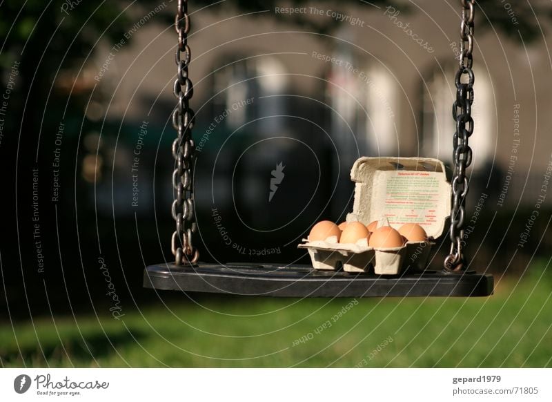 egg swing Sun Playground Boredom Swing Six pack Egg Chain Eggs cardboard Colour photo Exterior shot Detail Deserted Day Shadow Deep depth of field