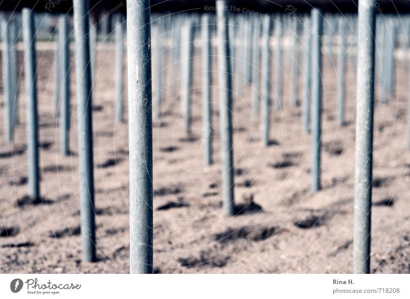 Row & Link Garden Sand Stand Arrangement Symmetry Pole Stick Tracks Horticulture Prop Subdued colour Exterior shot Deserted Copy Space bottom