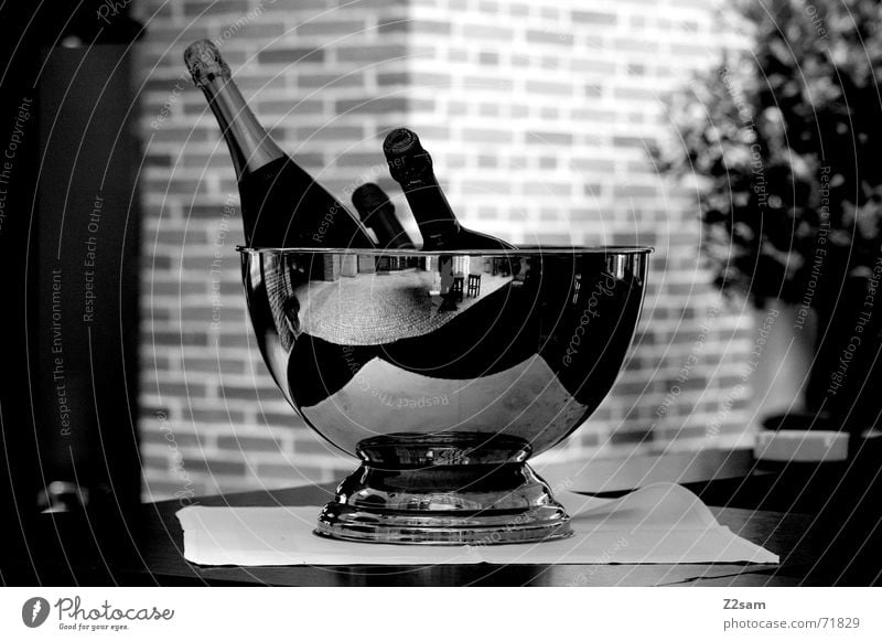 munich breakfast Sparkling wine Table Bottle Silver Black & white photo Object photography Still Life Deserted Champagne Champagne bucket Champagne bottle