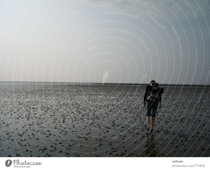 walk to the endlessness Horizon Ocean Lugworms Gray Low tide Hiking Infinity Going Loneliness Calm Walking Human being Mud flats Sky To go for a walk