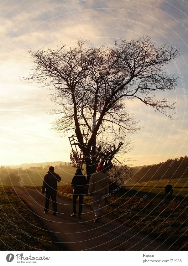 winter walk Human being Tree Field Winter Cold Dog Footpath Meadow Sunday Scarf Cap To go for a walk Sky Wind warm cocoa Exterior shot