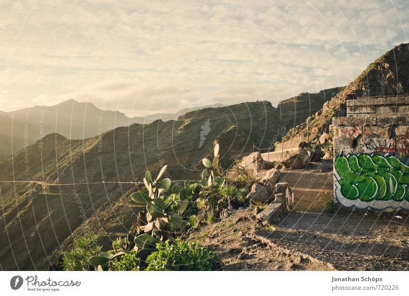 San Andrés / Tenerife XXI Environment Nature Landscape Sky Sun Sunrise Sunset Sunlight Beautiful weather Cactus Esthetic Canaries Island Mountain Rock Hiking