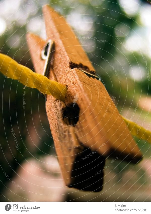 clamp Wood flour Macro (Extreme close-up) Yellow Clothes peg Clothing Brown Blur clothes rope blured perspective kimako