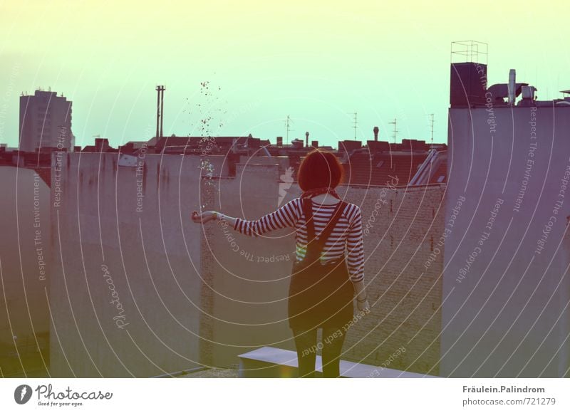 On the roofs. Feminine Young woman Youth (Young adults) 1 Human being 18 - 30 years Adults Skirt Red-haired Short-haired To fall Catch Feasts & Celebrations