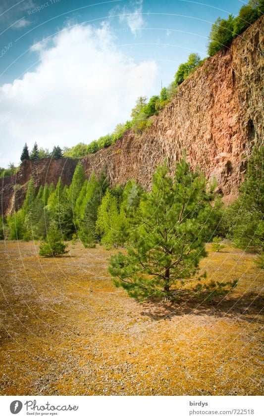 feel-good spot Nature Landscape Sky Clouds Spring Summer Beautiful weather Pine Birch tree Lichen Rock Mountain Esthetic Warmth Idyll Quarry Nature reserve