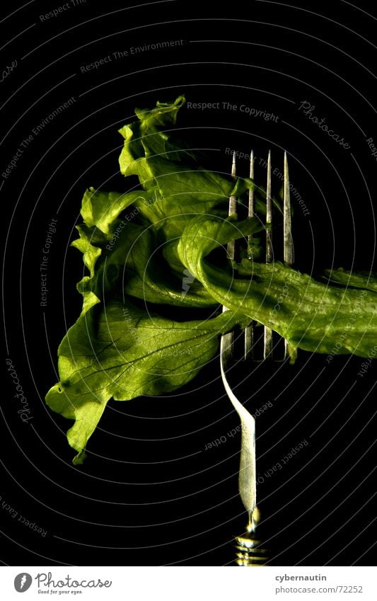 Iceberg lettuce (coloured) Fork Kitchen Green Lettuce Metal Nutrition Vegetarian diet