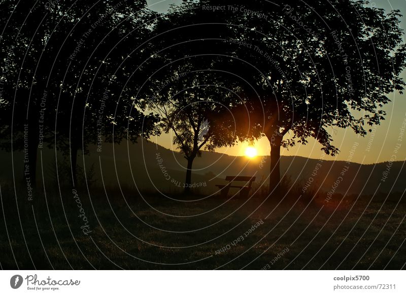 morning sun Tanning bed Sunrise Morning Tree Loneliness Bench Dawn Mountain Landscape