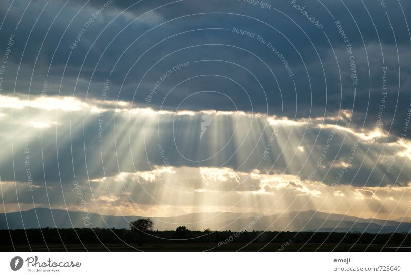 April Environment Nature Landscape Sky Clouds Climate Weather Exceptional Natural Brilliant Radial Beam of light Colour photo Exterior shot Deserted Twilight