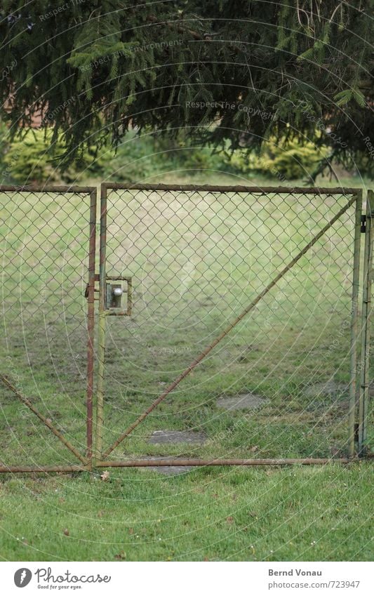 deep green Deep Green Deserted Garden door Steel Wire netting Fence Gate Knob Meadow Fir tree Hang Tilt Entrance Access Stoop Footpath