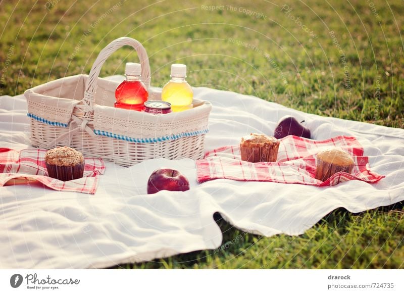 Picnic Fruit Apple Cake Beverage Drinking Cold drink Lemonade Juice Sweet Cupcake Basket Red Grass Park Field Bottle Colour photo Exterior shot Deserted Dawn