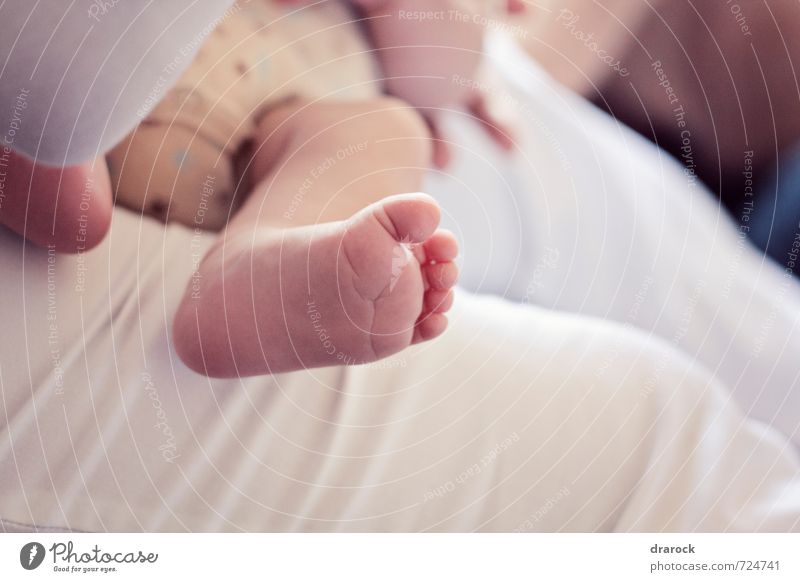 Close up of infant baby feet Masculine Baby Feet 0 - 12 months Infancy Small drarock Colour photo Subdued colour Close-up Detail Light Shallow depth of field