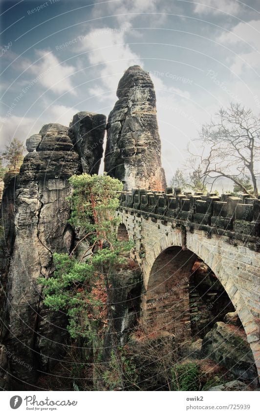 Kleckerburg Vacation & Travel Tourism Trip Bastei Germany Large Tall Idyll Bridge Sandstone Elbsandstone mountains Tree Spring Colour photo Subdued colour