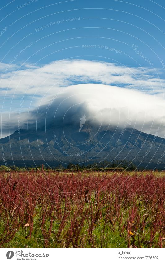 Welcome To Taranaki Environment Nature Landscape Plant Elements Sky Clouds Storm clouds Autumn Bad weather Blossom Rock Mountain Peak Volcano Wanderlust Bizarre