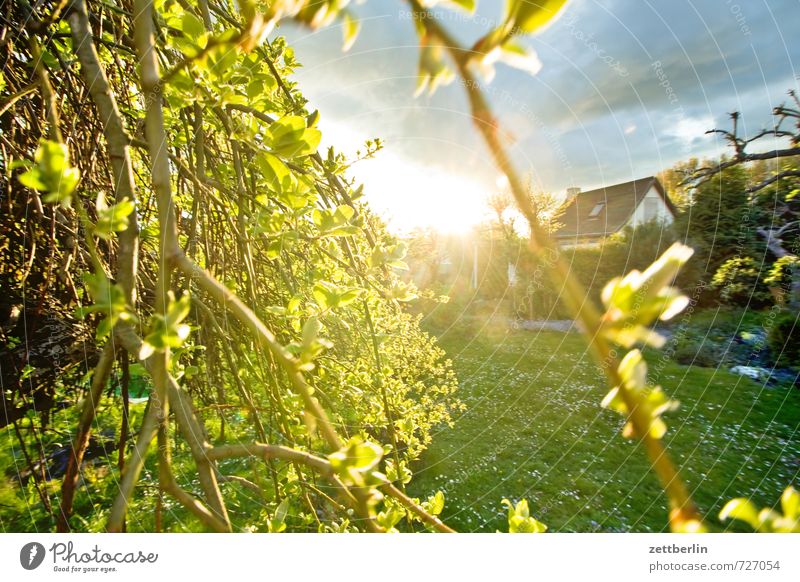 The sun. She's going down. Harmonious Well-being House (Residential Structure) Environment Nature Landscape Climate Climate change Weather Beautiful weather