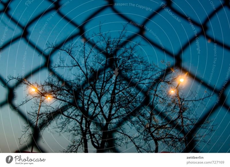 evening Environment Sky Night sky Spring Weather Tree Outskirts Growth Threat Blue Might Safety Protection Fear Testing & Control Arrangement Garden plot