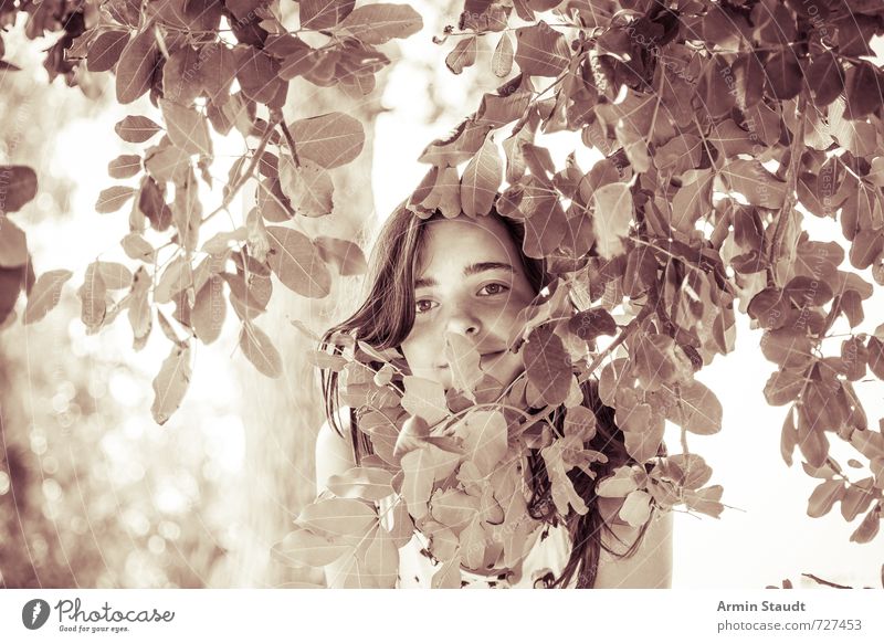 Smiling girl behind leaves Human being Feminine Youth (Young adults) 1 13 - 18 years Child Nature Summer Tree Looking Stand Old Esthetic Friendliness Happiness