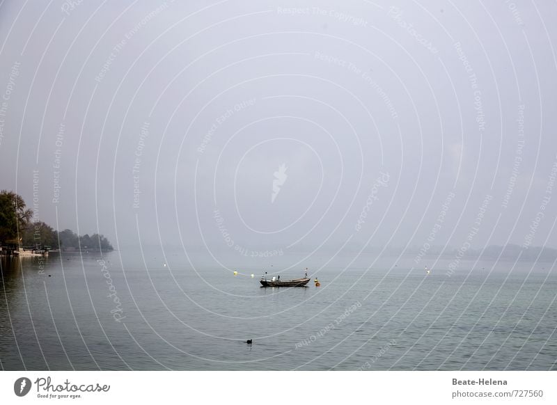 AST 7 | Pointillistic rest of Lake Constance Aquatics Work and employment Fisherman Workplace Agriculture Forestry Environment Nature Sky Spring Lakeside