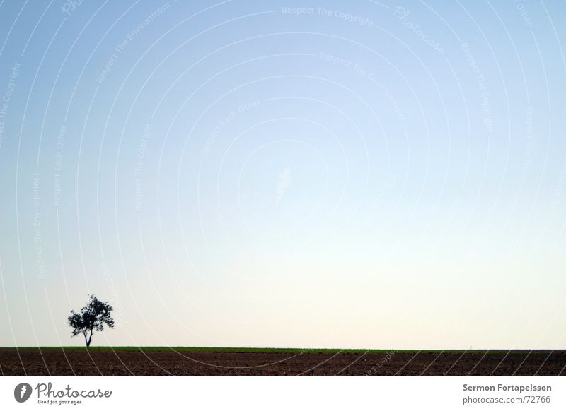 O---| Tree Clouds Field Summer Afternoon Saturday Loneliness Agriculture Meadow Flat Individual Horizon Sky Wind Silhouette Skyline Americas Branch Province